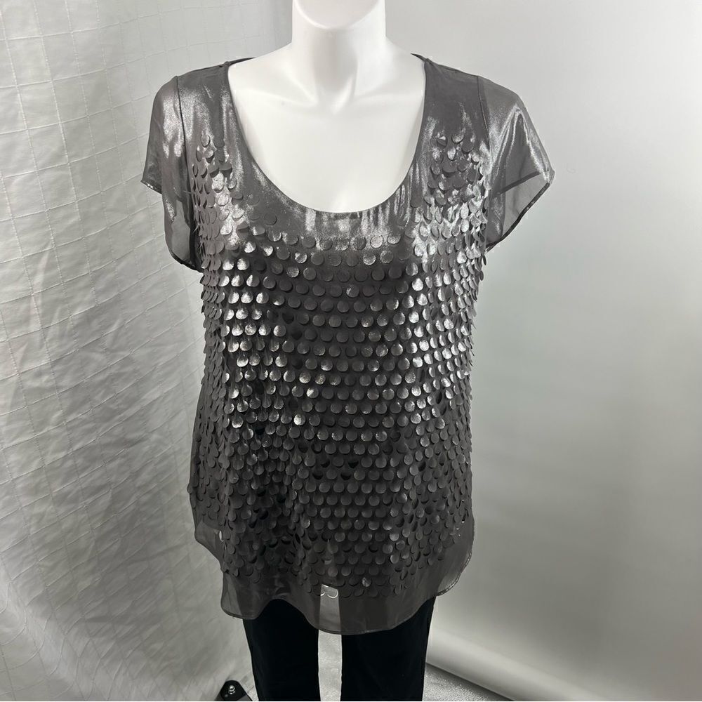 Worthinton Woman | NWT Shimmering Silver Top
